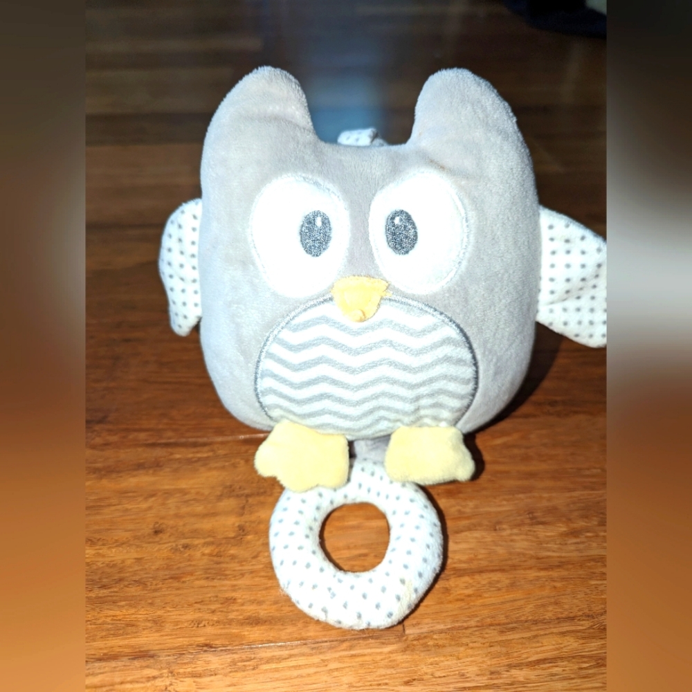Baby Ganz Owl pull down.